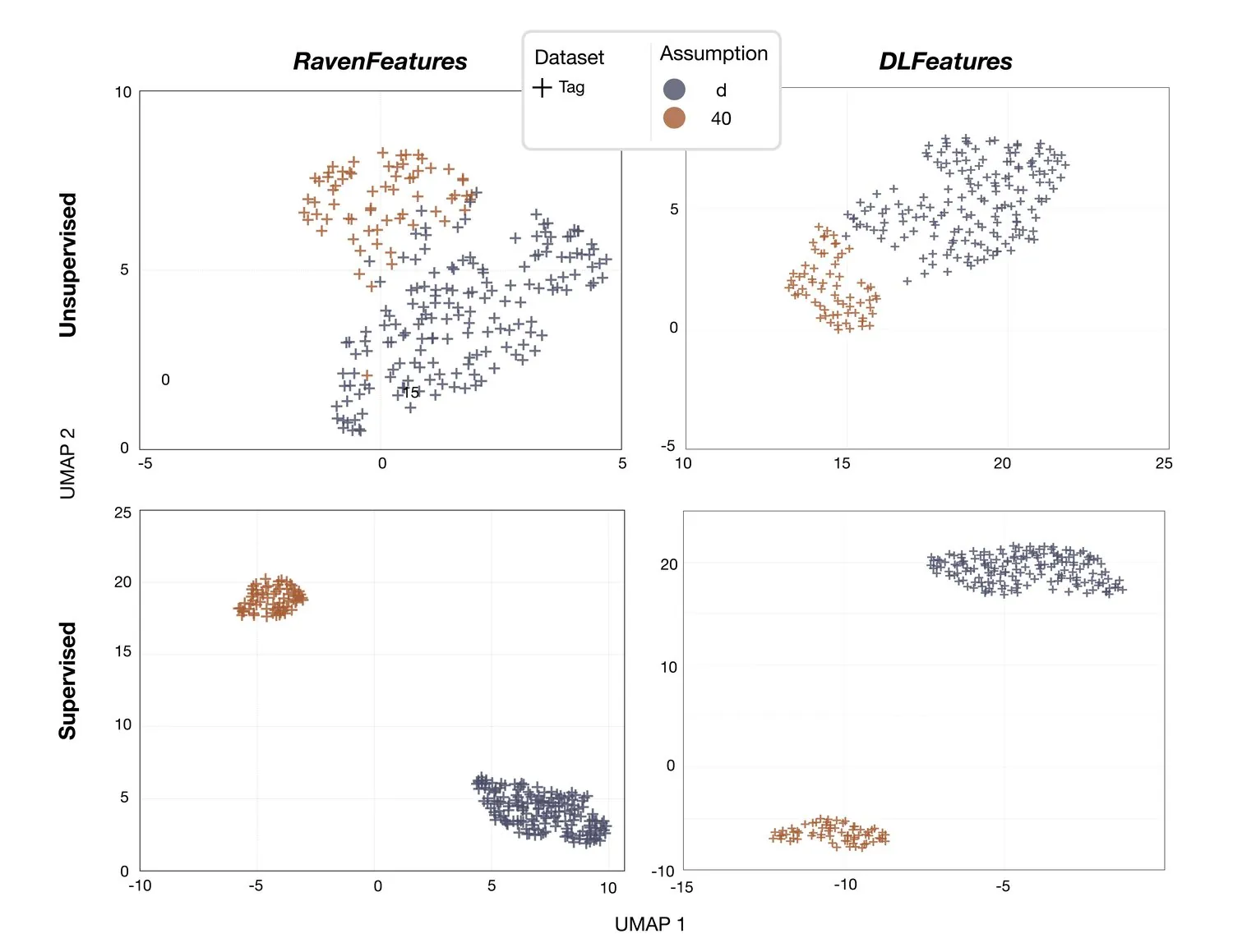 D-tag data projection for two whale species