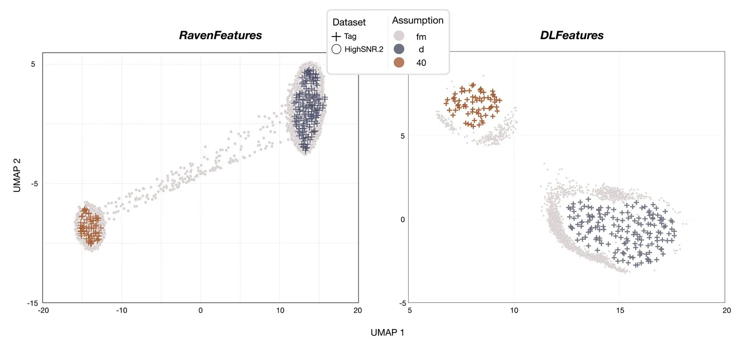UMAP projection of long-term FM detections
